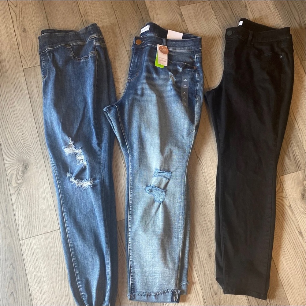 Lane Bryant bundle